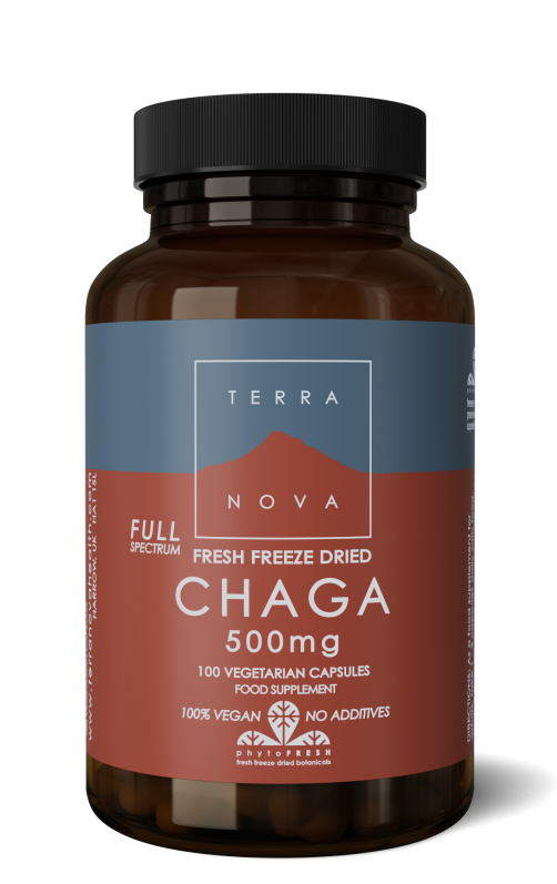 Chaga 500mg Complex | 100 capsules