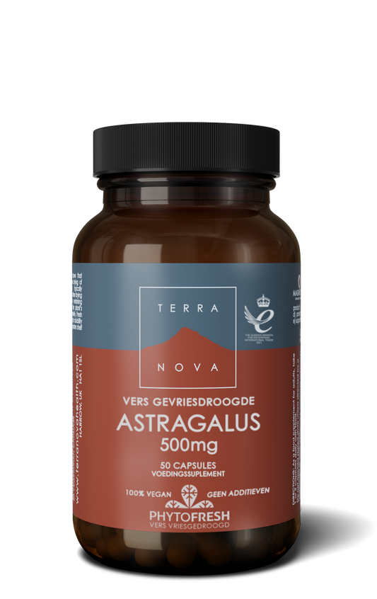 Astragalus 500 mg