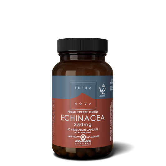 Echinacea 350mg | 50 vegan capsules