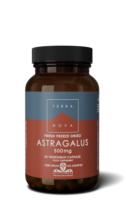 Astragalus 500 mg | 50 vegan capsules